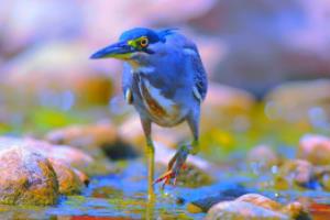 波胆伤停时算，足球规则中的特殊时刻足球波胆伤停时算