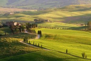 足球波胆，预测进球数的科学与艺术足球波胆是几分钟